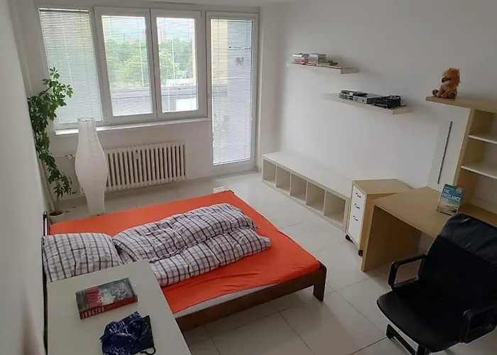 Nomads Room Nearest Forest Kamyk