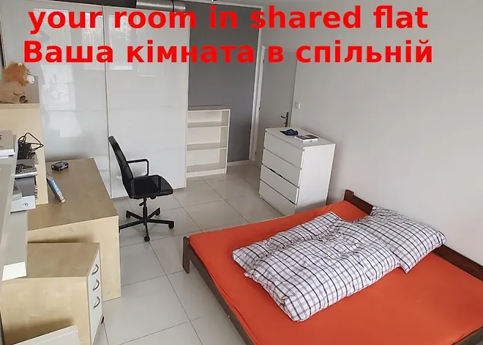 Nomads Room Nearest Forest Kamyk